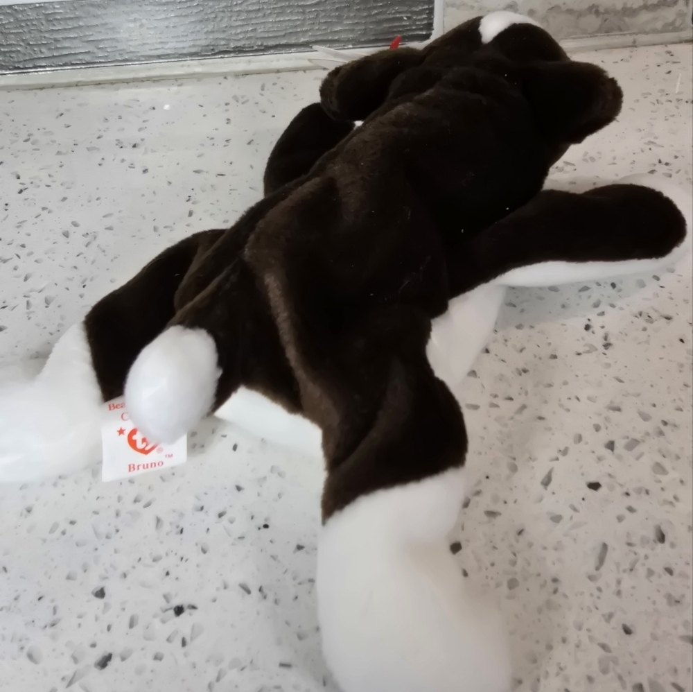 TY - Bruno - Beanie Baby Brown and White Dog Plush - Picture 2 of 5